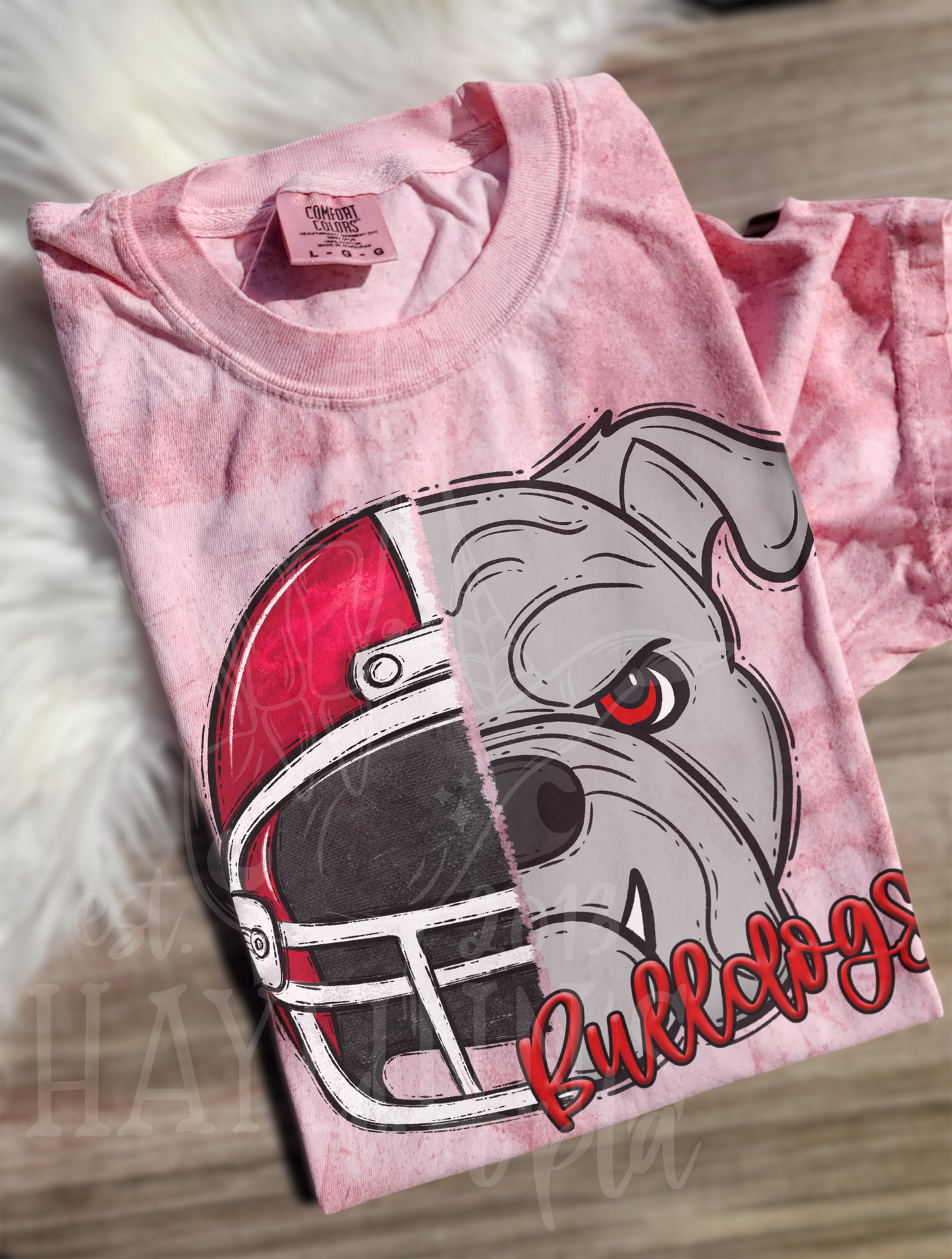 Football Helmet/Mascot Tee