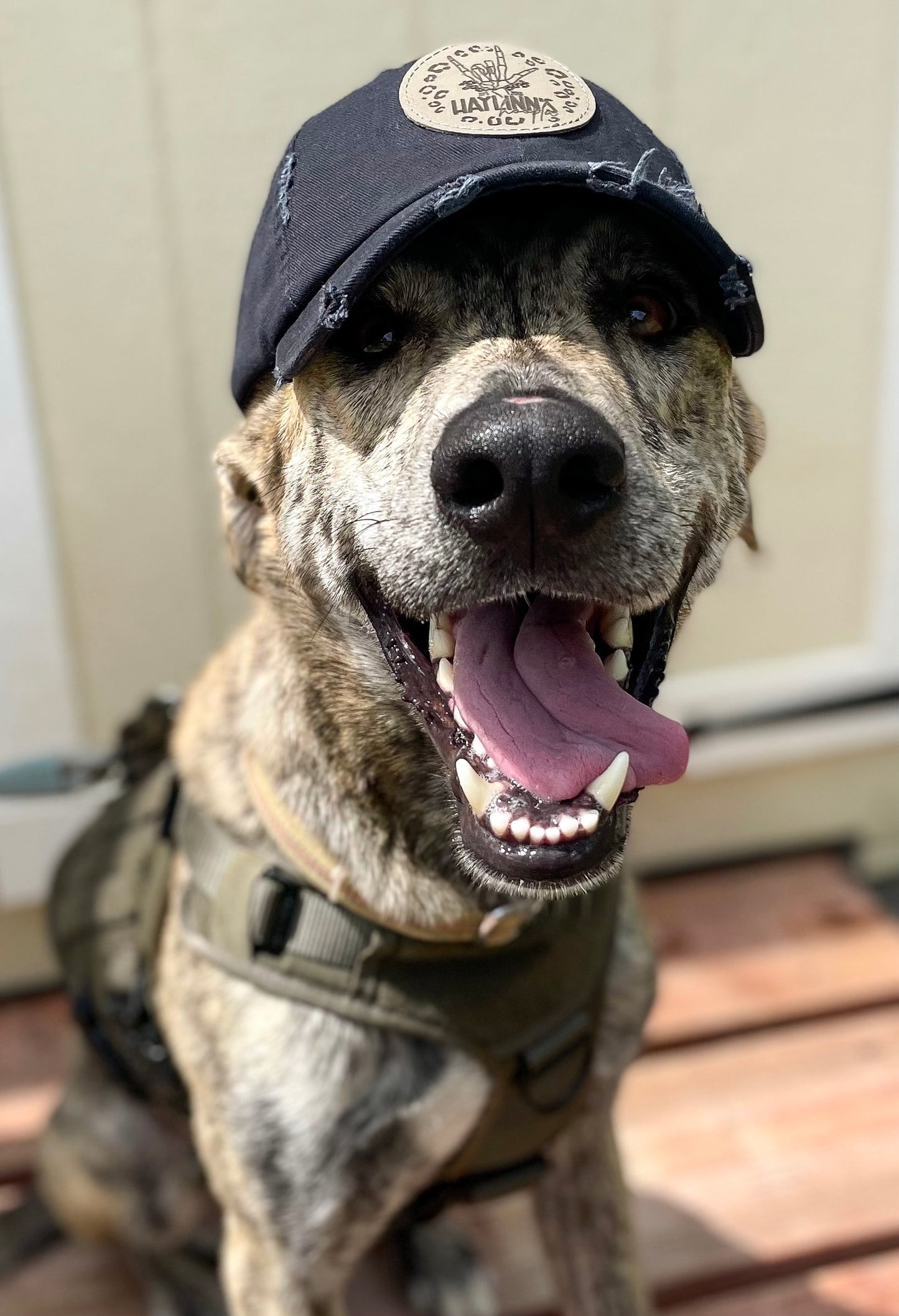 Personalize Your Own Distressed Hat