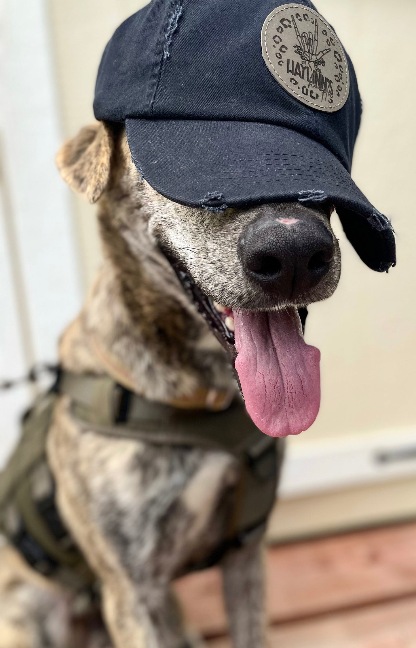 Personalize Your Own Distressed Hat