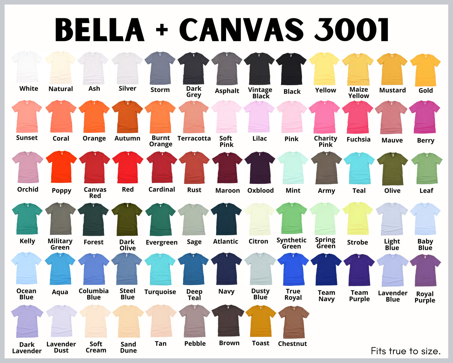BLANK Short Sleeve Bella Canvas Tee