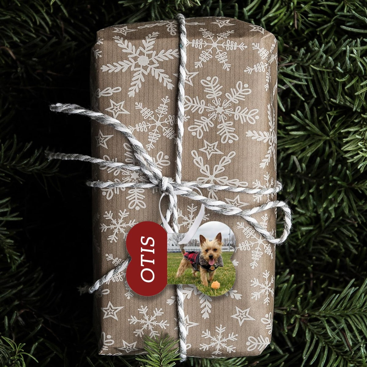 Custom Laser Cut Ornament BLANKS